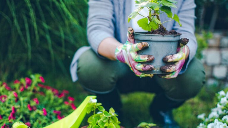 A könnyű fizikai munka sokszínűsége